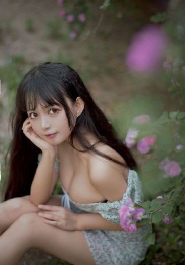 埃及猫原版动画片免费观看_高清在线观看