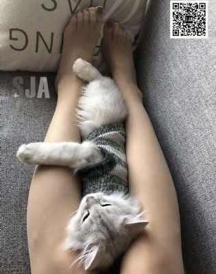 精品国产三级片无码在线观看_BD英语免费观看韩国