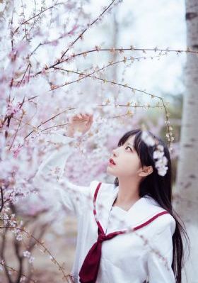 成 人免费va视频_1080P电影在线观看